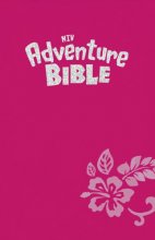 Cover art for Adventure Bible, NIV