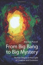 Cover art for From Big Bang to Big Mystery: Human Origins in the Light of Creation and Evolution