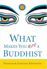 Cover art for What Makes You Not a Buddhist