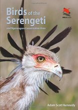 Cover art for Birds of the Serengeti: And Ngorongoro Conservation Area (Wildlife Explorer Guides)