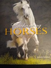 Cover art for Enchanting Horses