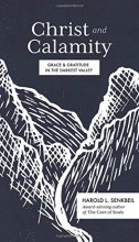 Cover art for Christ and Calamity