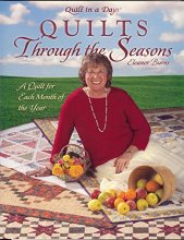 Cover art for Quilts Through the Seasons: A Quilt for Each Month of the Year (Quilt in a Day Series)