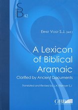 Cover art for Lexicon Of Biblical Aramaic: Clarified By Ancient Documents (Subsidia Biblica)