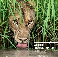 Cover art for Wildlife Photographer of the Year: Portfolio 28