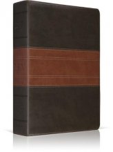 Cover art for ESV Classic Reference Bible (TruTone, Forest/Tan, Trail Design)