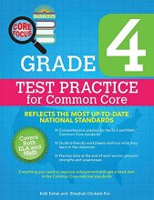 Cover art for Core Focus Grade 4: Test Practice for Common Core (Barron's Core Focus)