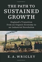 Cover art for The Path to Sustained Growth