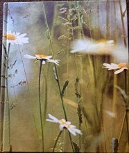 Cover art for AA Book of the British Countryside