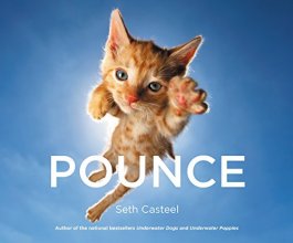 Cover art for Pounce