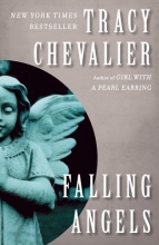 Cover art for Falling Angels