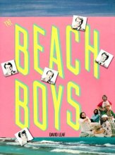 Cover art for The Beach Boys