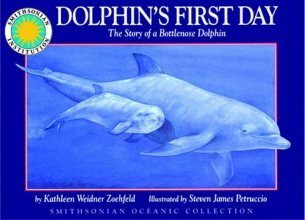 Cover art for Dolphin's First Day: The Story of a Bottlenose Dolphin - a Smithsonian Oceanic Collection Book