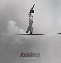 Cover art for If Not Now, When?