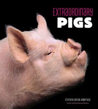 Cover art for Extraordinary Pigs