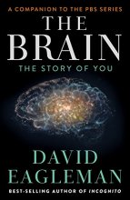 Cover art for The Brain: The Story of You