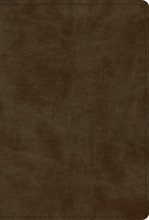 Cover art for ESV Devotional Psalter (TruTone, Olive)