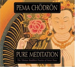 Cover art for Pure Meditation (v. 3)