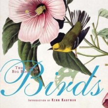 Cover art for The Little Big Book of Birds (Little Big Books)
