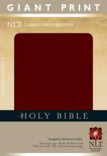 Cover art for Holy Bible, Giant Print NLT