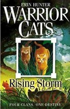 Cover art for Rising Storm (Warrior Cats)