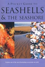 Cover art for A Pocket Guide to Seashells & the Seashore (Pocket Guides)