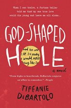 Cover art for God-Shaped Hole: A Novel