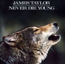 Cover art for Never Die Young