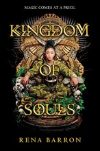 Cover art for Kingdom of Souls