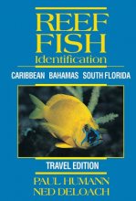 Cover art for Reef Fish Identification - Travel Edition - Caribbean Bahamas South Florida