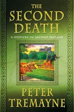 Cover art for The Second Death: A Mystery of Ancient Ireland (Mysteries of Ancient Ireland (26))