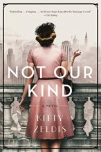 Cover art for Not Our Kind: A Novel