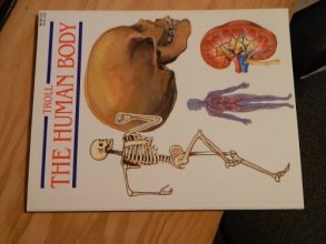 Cover art for The Human Body