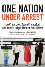 Cover art for One Nation Under Arrest: How Crazy Laws, Rogue Prosecutors, and Activist Judges Threaten Your Liberty