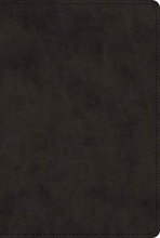 Cover art for ESV Bible with Creeds and Confessions (TruTone, Black)