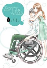 Cover art for Perfect World 2