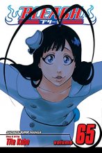 Cover art for Bleach, Vol. 65 (65)