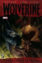 Cover art for Wolverine: Sabretooth Reborn