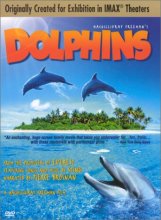 Cover art for Dolphins (Large Format)