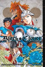 Cover art for Black Clover, Vol. 12 (12)