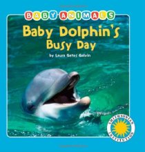 Cover art for Baby Dolphin's Busy Day - a Smithsonian Baby Animals Book (Baby Animals (Kingfisher))