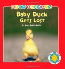 Cover art for Baby Duck Gets Lost - a Smithsonian Baby Animals Book (Baby Animals (Kingfisher))