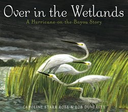 Cover art for Over in the Wetlands: A Hurricane-on-the-Bayou Story