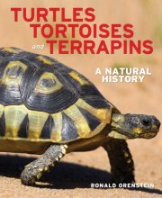 Cover art for Turtles, Tortoises and Terrapins: A Natural History