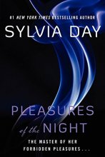 Cover art for Pleasures of the Night (Dream Guardians, Book 1)