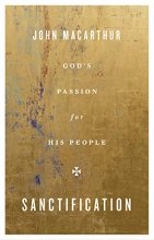 Cover art for Sanctification: God's Passion for His People