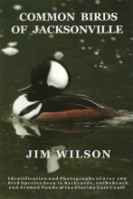 Cover art for COMMON BIRDS OF JACKSONVILLE