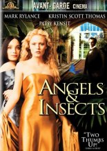Cover art for Angels & Insects