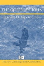 Cover art for The Gospel of John (New Cambridge Bible Commentary)