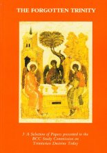 Cover art for Forgotten Trinity: Selection of Papers Presented to the BCC v. 3: Study Commission on Trinitarian Doctrine Today